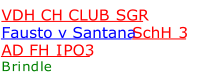 VDH CH CLUB SGR   Fausto v Santana SchH 3  AD FH IPO3     Brindle