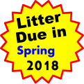 Litter Due in   Spring 2018