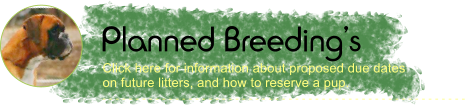 Planned Breeding�s - - - - - - - - - - - - - - - - - - - - - - - - - - - - - - - - - - - - - - - - - - - - - - - - - - - - - - - Click here for information about proposed due dates on future litters, and how to reserve a pup.
