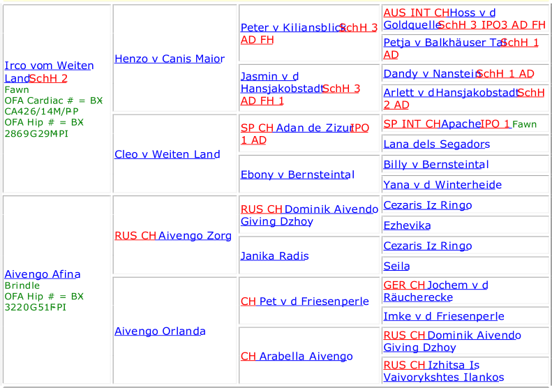 Irco vom Weiten  Land SchH 2     Fawn    OFA Cardiac # = BX - CA426/14M/P - P   OFA Hip # = BX - 2869G29M - PI     Henzo v Canis Maior     Peter v Kiliansblick SchH 3  AD FH     AUS INT CH   Hoss v d  Goldquelle SchH 3 IPO3 AD FH     Petja v Balkhäuser Tal SchH 1  AD     Jasmin v d  Hansjakobstadt SchH 3  AD FH 1     Dandy v Nanstein SchH 1 AD     Arlett v d  Hansjakobstadt SchH  2 AD     Cleo v Weiten Land     SP CH   Adan de Zizur IPO  1 AD     SP INT CH   Apache IPO 1   Fawn    Lana dels Segadors     Ebony v Bernsteintal     Billy v Bernsteintal     Yana v d Winterheide     Aivengo Afina     Brindle    OFA Hip # = BX - 3220G51F - PI     RUS CH   Aivengo Zorg     RUS CH   Dominik Aivendo  Giving Dzhoy     Cezaris Iz Ringo     Ezhevika     Janika Radis     Cezaris Iz Ringo     Seila     Aivengo Orlanda     CH   Pet v d Friesenperle     GER CH   Jochem v d  Räucherecke     Imke v d Friesenperle     CH   Arabella Aivengo     RUS CH   Dominik Aivendo  Giving Dzhoy     RUS CH   Izhitsa Is  Vaivorykshtes Ilankos