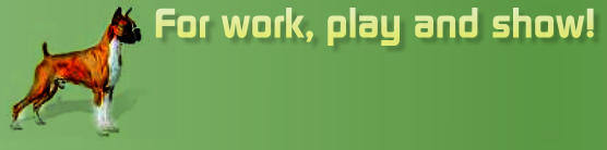 For work, play and show!