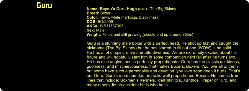 Guru  Name: Bayou’s Guru Hugh (aka)...The Big Skinny Breed: Boxer Color: Fawn, white markings, black mask DOB: 9/1/2009 AKC#: WS31737903 Sex: Male Weight: 76 lbs and still growing (should end up around 85lbs)  Guru is a stunning male boxer with a perfect head. He shot up fast and caught the nickname (The Big Skinny) but he has started to fill out and (WOW) is he solid.  He has a lot of spirit, drive and attentiveness. We are extremely excited about his  future and will hopefully start him in some competition next fall after he turns two. He has nice angles, and is perfectly proportionate. Guru has the classic quirkiness, goofiness, and mischievousness, that makes Boxers, Boxers. You love all of them  but some have such a personality and devotion, you love sooo deep it hurts. That’s our Guru. Guru’s mom and dad are solid well proportioned Boxers. He comes from lines that include: Boxmen’s Kennels,  dell'Infinito’s, Xanthos, Traper of Turo, and  many others. its no accident he is who he is.