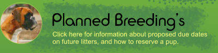 Planned Breeding’s Click here for information about proposed due dates on future litters, and how to reserve a pup.
